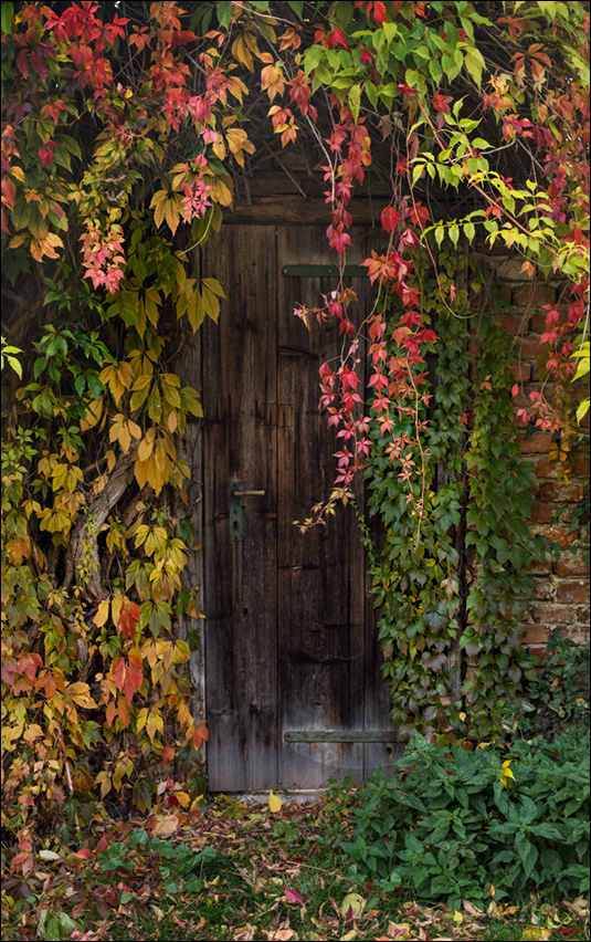 dveře tajemné zahrady